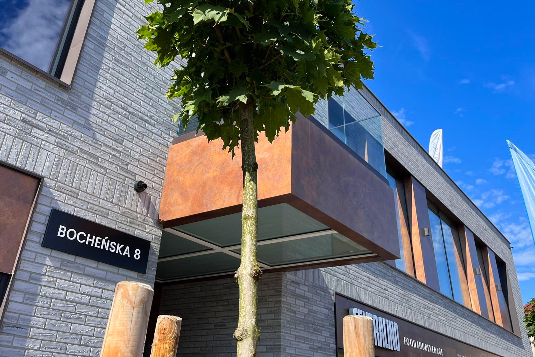 bochenska-8-ilustracja-4-min